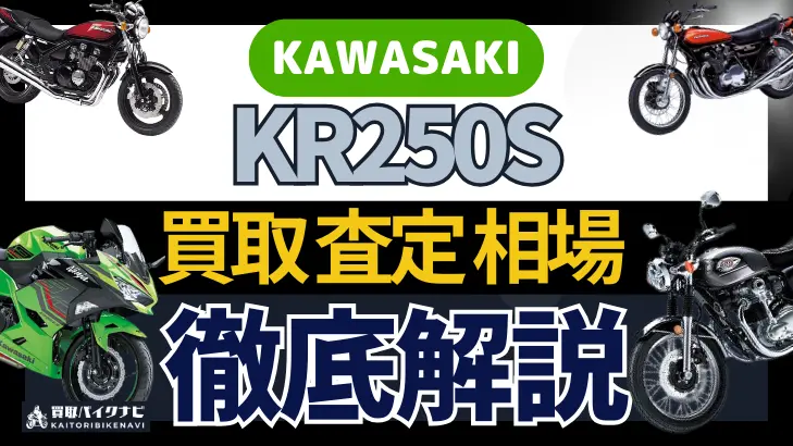 KAWASAKI KR250S 買取相場 年代まとめ バイク買取・査定業者の 重要な 選び方を解説