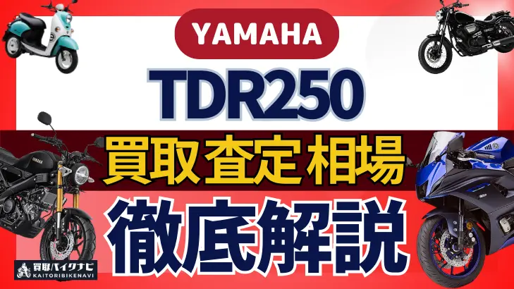 YAMAHA TDR250 買取相場 年代まとめ バイク買取・査定業者の 重要な 選び方を解説